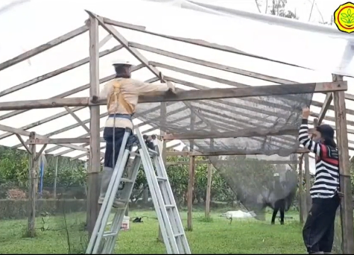 Manajemen Pembibitan 2
