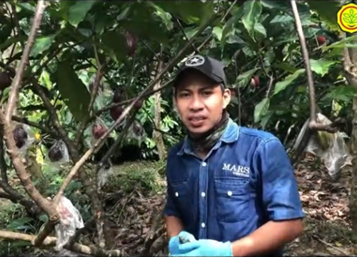 Manajemen Pembibitan 4
