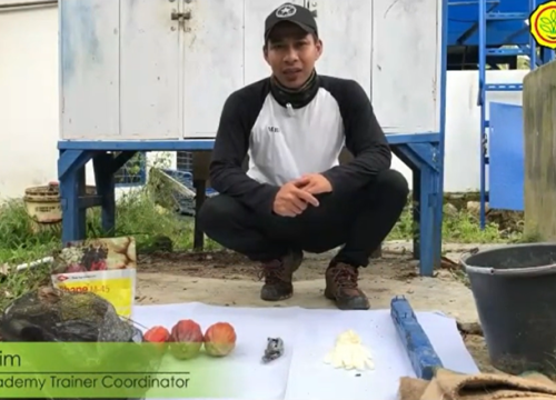 Manajemen Pembibitan 5
