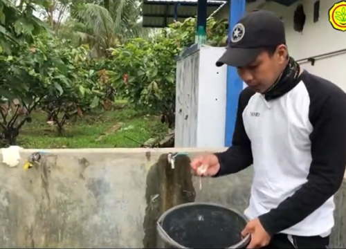 Manajemen Pembibitan 6