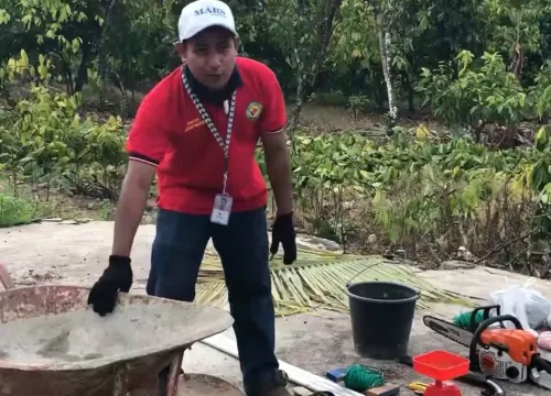 Replanting 1